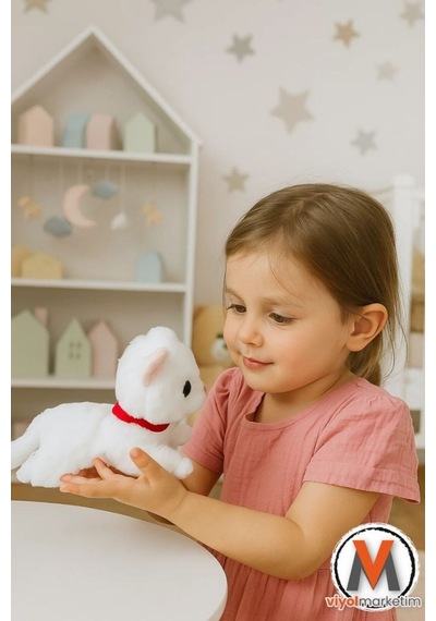 Sevimli Peluş Yavru Kedi 35 Cm Sesli Miyavlayan Oyuncak Uyku Ve Oyun Arkadaşı 4 Renk Seçeneği Çok Renkli