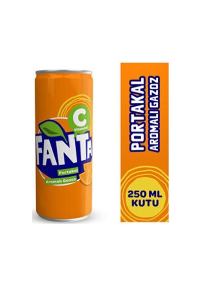 Fanta Portakal Kutu 250 Ml 24'lü