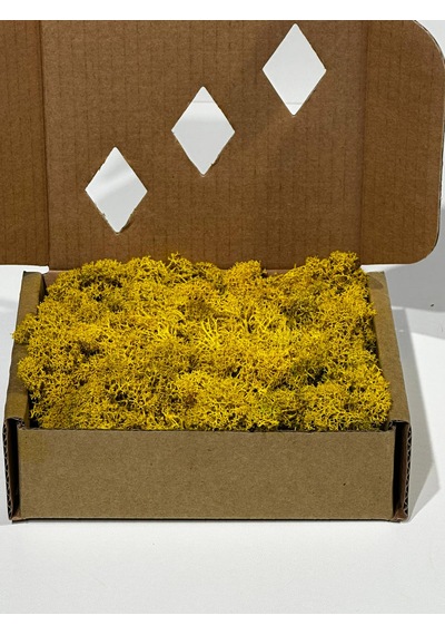 Reindermoss Şoklanmış Norveç Yosunu Terarium Yosunu Sarı 100 Gr.