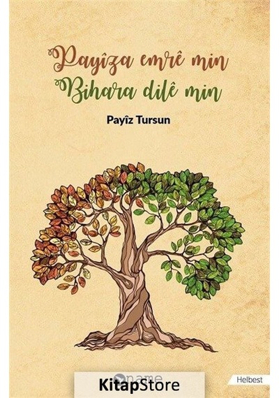 Payiza Emre Min Bilhara Dile Min - Payiz Tursun - Name