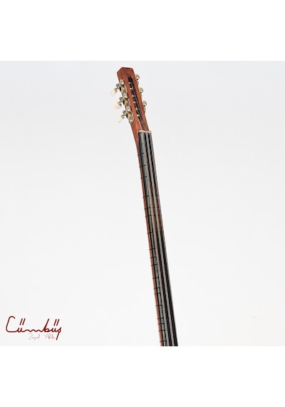 Zeynel Abidin Csl01Pl Uzun Sap Sazbüş-Düz Model-Kılıf