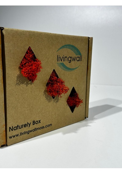 Reindermoss Şoklanmış Norveç Yosunu Terarium Yosunu Kırmızı 100 Gr.