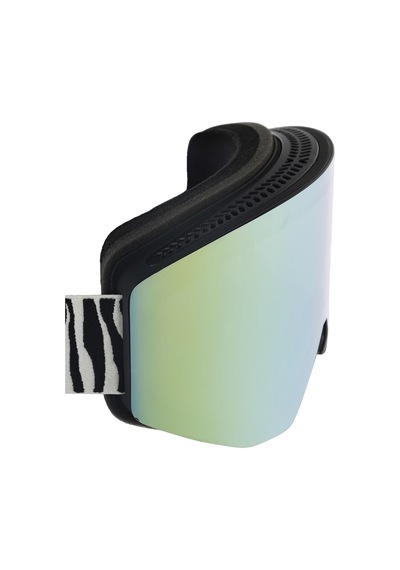 Rossıgnol Rossignol Otava S Zebra Unisex Goggle J40 Çok Renkli