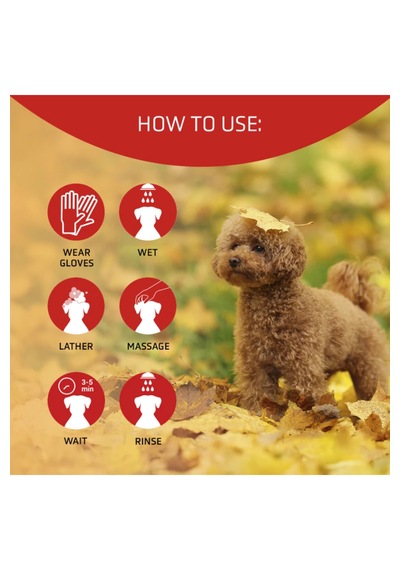 Artero Scarlet Poodle Irkına Özel Renk Arttırıcı Şampuan 300 Ml