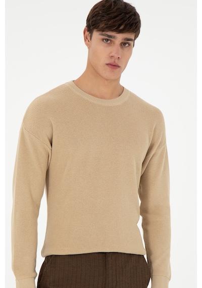 U.S. Polo Assn. Erkek Regular Fit Bisiklet Yaka Kum Basic Kazak 50298267-VR085
