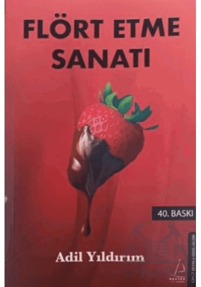 Flört Etme Sanatı Ciltli Destek Yayınları