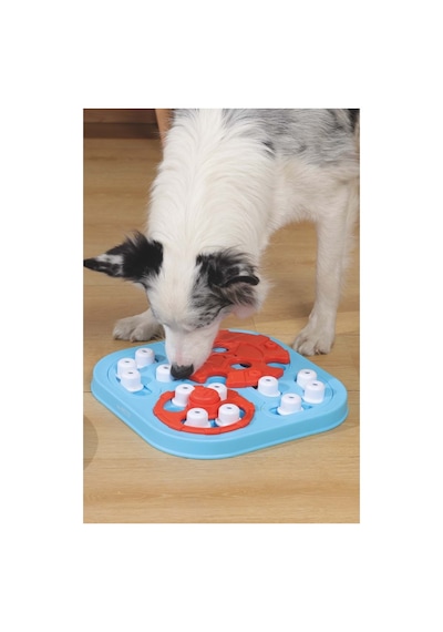 M-pets Braıny Games Galıleo Puzzle 3.seviye