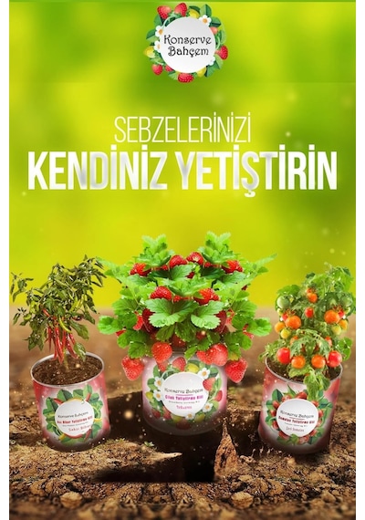 Konserve Bahçem Evde Konservede Sakız Kabak Yetiştirme Kiti Belirtilmemis
