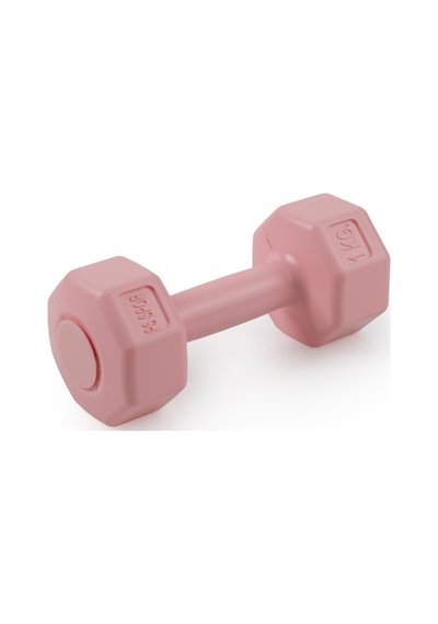 Psspor 2 Adet 1kg Pembe Renk Dambıl Seti 2 Adet 1kg Gönderim Yapılmaktadır