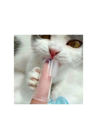 Mey İthalat Kedi Köpek Diş Temizleme Fırçası