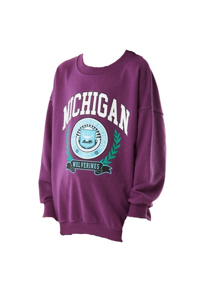 İrem Çocuk Giyim Kız Çocuk Michigan Yazı Desenli Mor Renk Mevsimlik Sweatshirt Mor