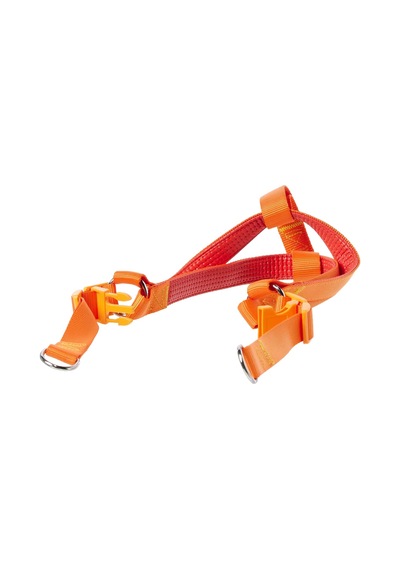 Euro Dog Köpek Uzatma Tasması+göğüs Tasması 25mm 120cm Turuncu