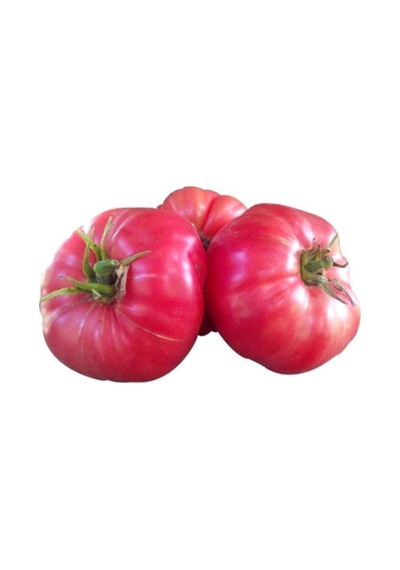 Nadir İri Pembe Domates Tohumu 10 Adet Tohum Bulgar Domatesi