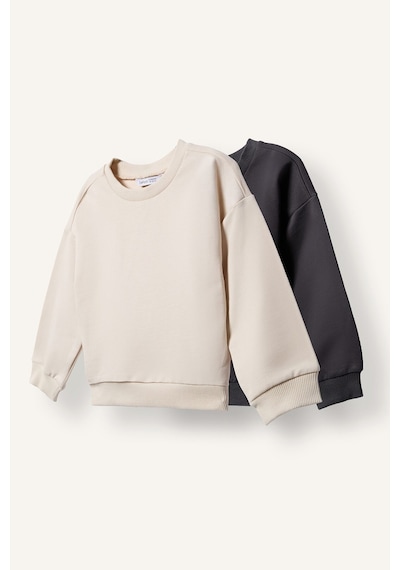 Defacto %100 Pamuk Regular Fıt Bisiklet Yaka Basic 2li Sweatshirt Set Erkek Bebek H8400a526auar31 Antrasit-ar31