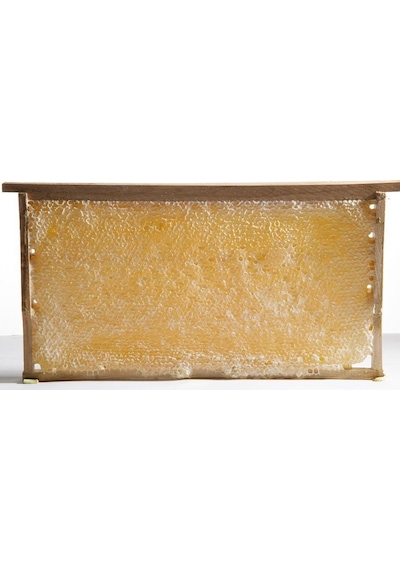 Hakiki Petek Çiçek Balı 3500 G