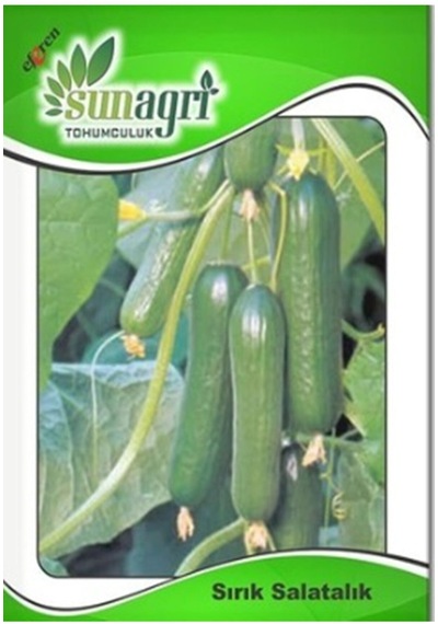 Sırık Salatalık Tohumu 20 Adet - 4 Saksı+torf Hediye