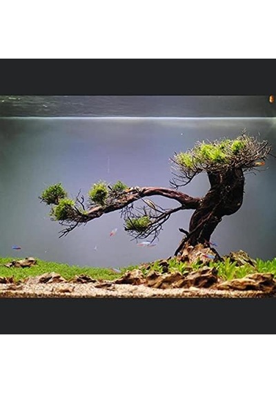 Brillant Kendinden Yapışkanlı Akvaryum Arka Fon Kumlama 1 Mt X 60 Cm Standart