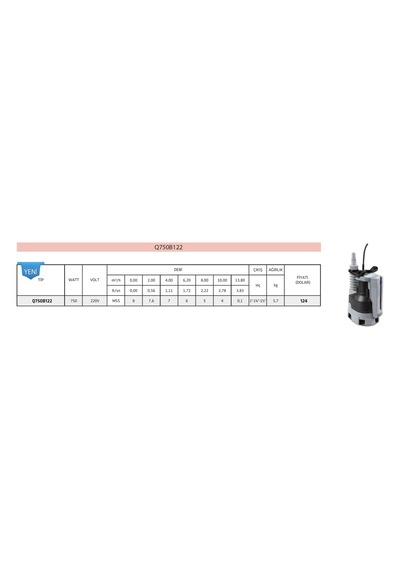 Impo Q750B122 Gizli Flatörlü Dalgıç Pompası - 750 Watt