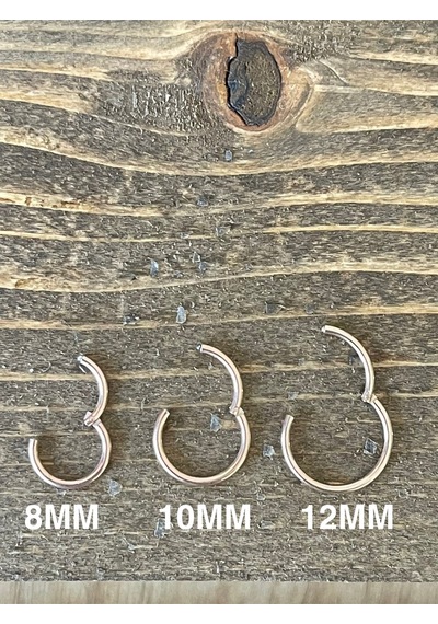 316 L Cerrahi Çelik Anti Alerjik Kilitli Halka Piercing Rose Renk Rose