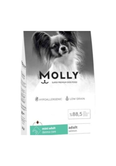Molly Mini Adult Somonlu Yetişkin Köpek Maması 2 KG