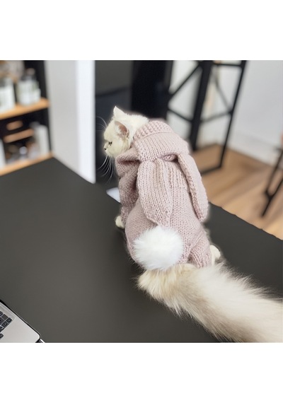 Kedi Ve Köpek İçin Işıltılı Lila Tavşan Kostümlü Tulum