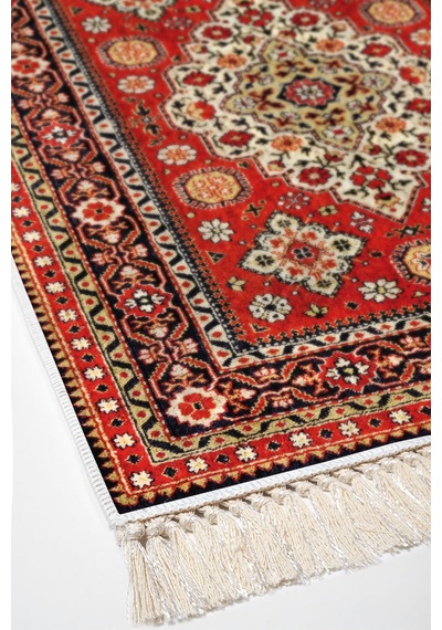 Alanur Kaymaz Yıkanabilir Dijital Baskılı Salon Halısı Trend Saçaklı Otantik E6002 Renkli