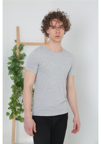 Erkek Bisiklet Yaka Basic T-Shirt - Gri