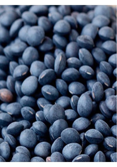Kappadokia Yerel Tohumlardan, Beluga Mercimek 1 Kg