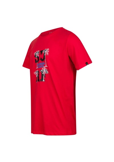 2as Alex Baskılı Erkek Sıfır Yaka T-shirt 047 Kırmızı