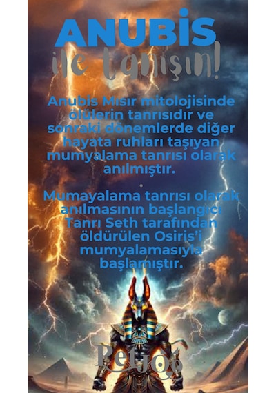 Petjoo 30.Anubis Gri-Mavi Qr'lı Köpek Künyesi