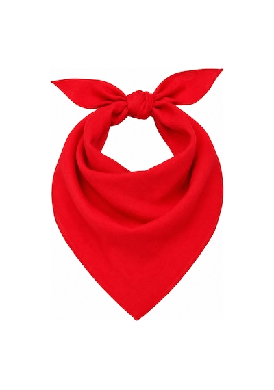Herşeynota Bayrak Kırmızısı 52x52 Cm %100 Pamuk Fular Bandana Okul Tören Etkinlik Gösteri Çok Renkli