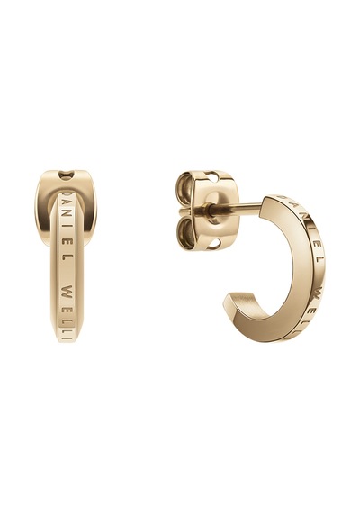 Daniel Wellington Dw00400514 Kadın Küpe Diğer