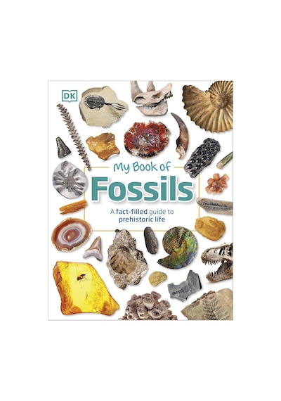 My Book Of Fossils: A Fact-filled Guide To Prehistoric Life