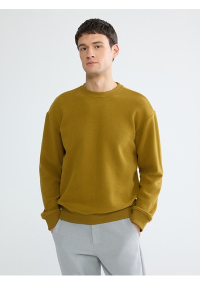 Lcw Vision Yeşil Bisiklet Yaka Erkek Sweatshirt