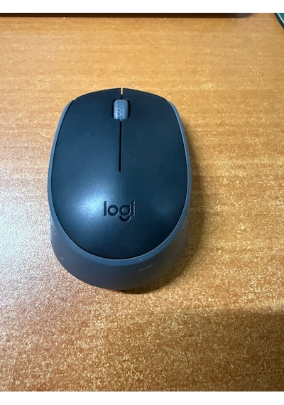 Logitech M171 910-004424 Siyah Optik Kablosuz Mouse