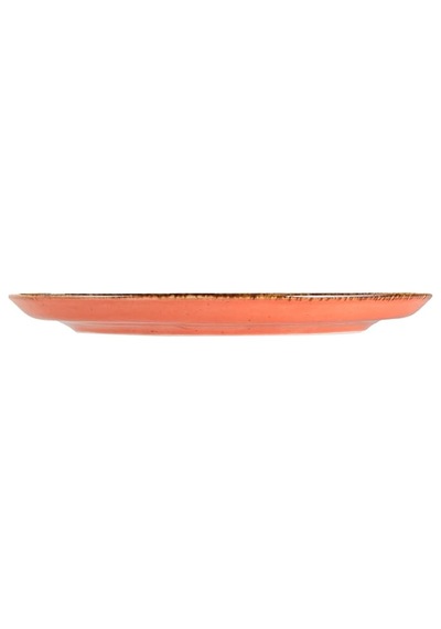 04alm001649 Seasons Pizza Tabağı, Porselen Çok Renkli