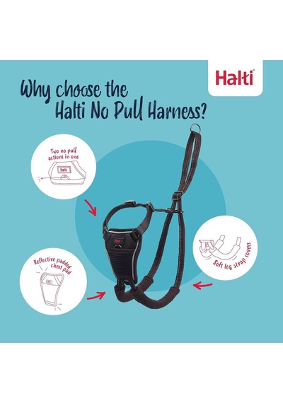 No Pull Yemek Takımı Ve Antrenman Tasması Kombi Paket, Stop Dog Pulling On Walks With Halti, Includes Medium Halti No