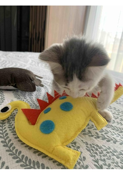 Dino Dino 24 Cm Catnip + Kedi Zili