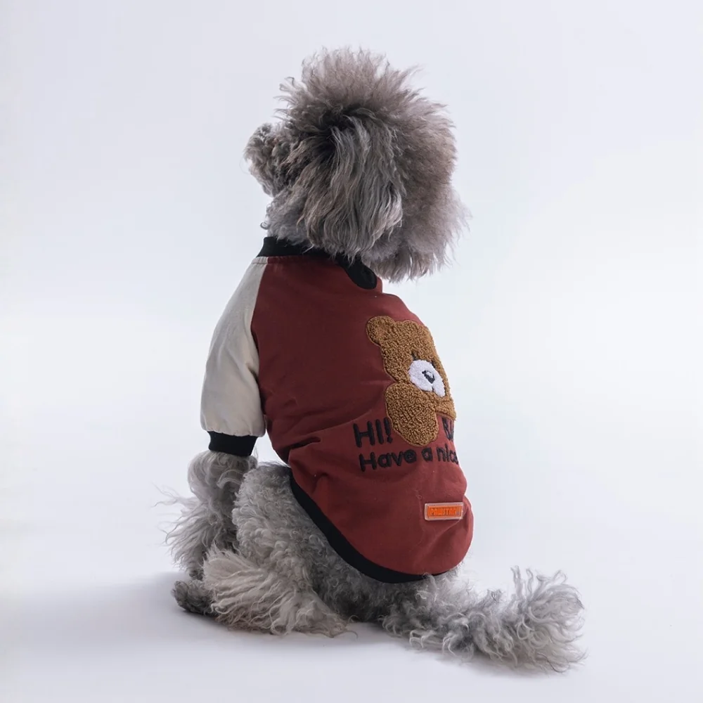 Kahverengi Baby Teddy Kedi Köpek Sweat