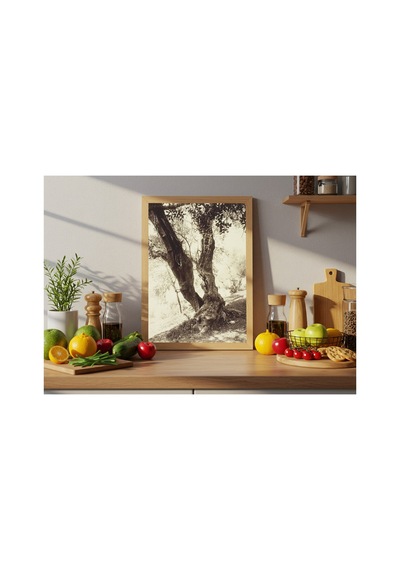 Botanik Nice Zeytin Ağacı Çerçevesiz Poster 21x30 Cm A4 Botanik Doğa Tarihi Vintage İllüstrasyon