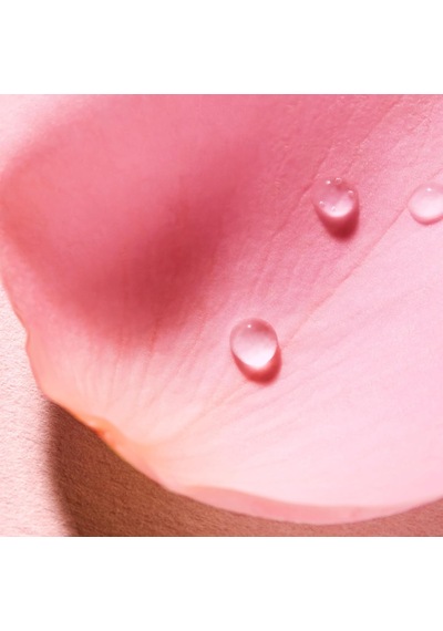 Very Rose Eau Voluptueuse Parfumante 100 Ml Diğer