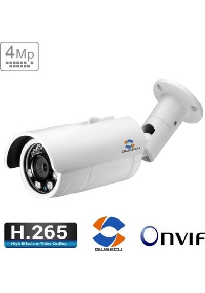 Gwsecu Kd-Mt76Rc22-P Güvenlik Kamerası