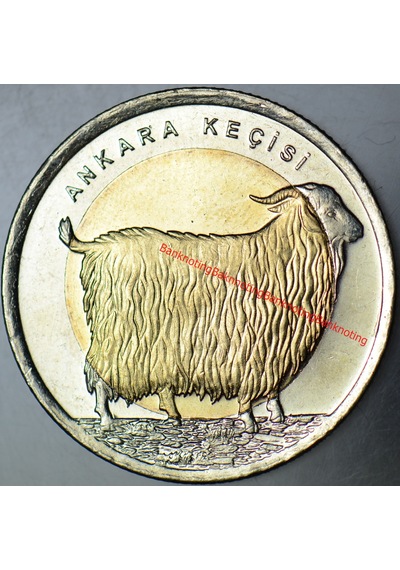 Ankara Keçisi 1 Lira 2015 Hatıra. Çil Kondisyon.