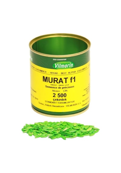 Murat F1 2500 Çk Hibrit Oturak Hıyar Vilmorin