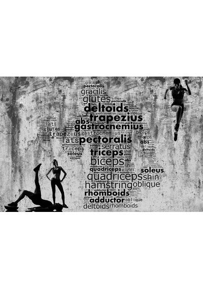 Spor - Fitness Salonu Duvar Kağıdı (440445272)