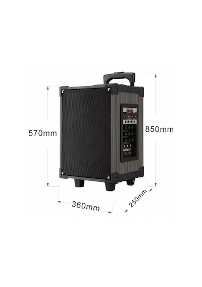 12 Inç Bluetooth Hoparlör 2 Adet Kablosuz Mikrofonlu Karaoke Bass Kabin Anfi Gitar Girişli