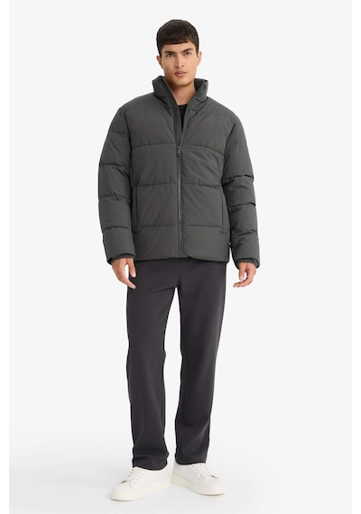 Defacto Su İtici Regular Fit Dik Yaka Fermuarlı Cepli Mont E9991ax25wnar104 Antrasit-ar104 Defacto Su İtici Regular Fit Dik Yaka Fermuarlı Cepli Mont E9991ax25wnar104 Antrasit-ar104