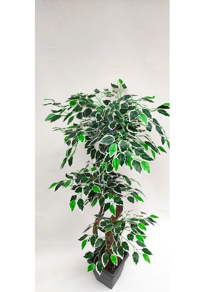 Rüzgar Yapay Çiçeçilik 150 Cm Ficus Ağacı Yeşil