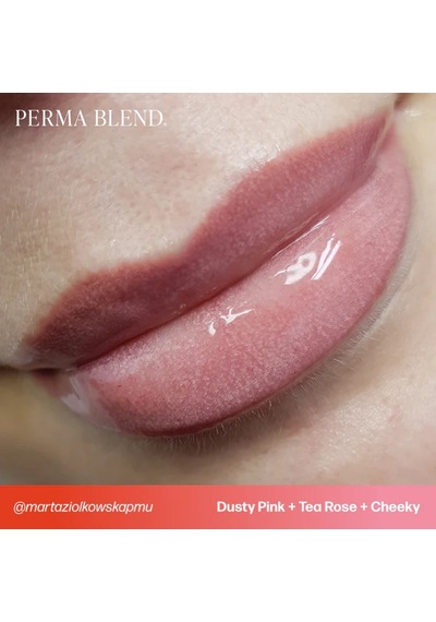 Perma Blend Cheeky Kalıcı Makyaj Dudak Pigmenti 15ml