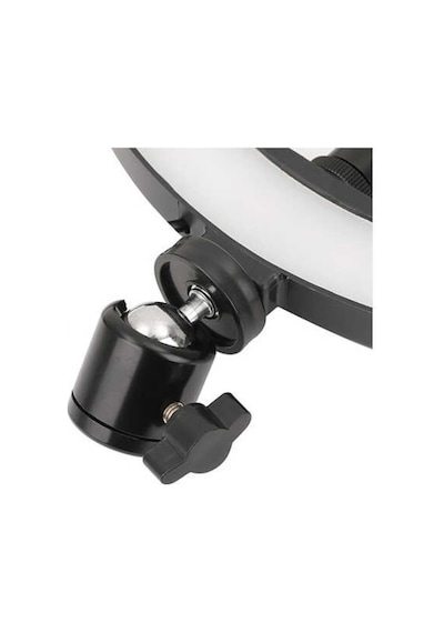 Zore M-2603 10" Işıklı Telefon Tutucu Ring Light + 210 CM Tripod